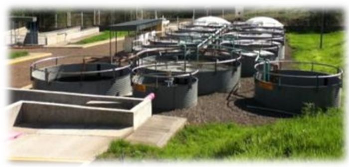 TRATAMIENTO DE AGUAS RESIDUALES